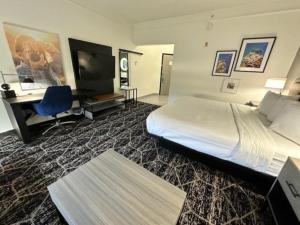 休斯顿休斯顿布什IAH南部拉金塔旅馆及套房的酒店客房配有一张床、一张书桌和一台电视。
