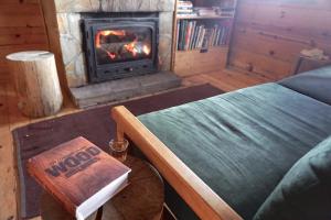 科帕奥尼克蒙大拿旅馆的一间设有壁炉、一张床和一本书的房间