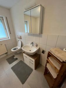 LottstettenDiti Apartment的一间带水槽、卫生间和镜子的浴室