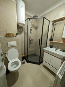 布尔泽策BratSki Apartman - 200m od gondole的带淋浴、卫生间和盥洗盆的浴室