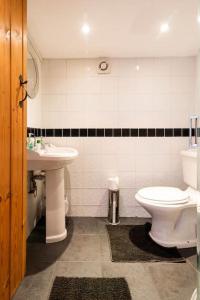 Llanrhaeadr-ym-MochnantThe Retreat的一间带卫生间和水槽的浴室