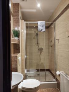 卡尔帕奇DW Agat的带淋浴、卫生间和盥洗盆的浴室