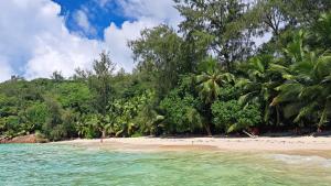 马埃岛贝拉扎尔区My Paradise的棕榈树海滩和海洋