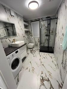 卢布林Piasecki Apartamenty的一间带水槽和洗衣机的浴室