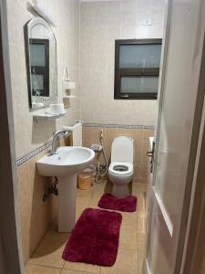 开罗Rehab City VIP Full Serviced Apartment الرحاب Guest satisfaction guaranteed的一间带水槽、卫生间和镜子的浴室
