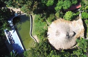 帕洛米诺Finca Los Mangos的水体旁大树 ⁇ 的空中景观