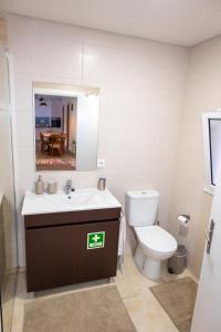 蓬塔德尔加达Casa da Abelheira的一间带卫生间、水槽和镜子的浴室