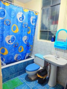 阿雷基帕Fernanda apartment的浴室配有蓝色的浴帘和卫生间