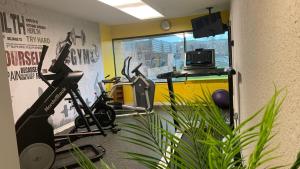 七岛市七岛市总督酒店的健身房设有健身自行车和室内电视