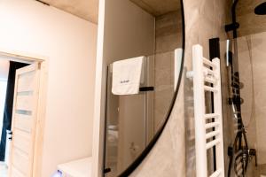 戈莱纽夫Hop & Lulu Delux Apartments的配有镜子的浴室,配有冰箱