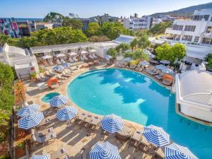 努萨角索菲特努萨太平洋度假酒店的享有带遮阳伞和椅子的游泳池的顶部景致