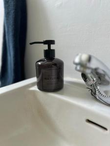 埃基斯蒂尔Lakeside Apartments的浴室水槽上放有一瓶香皂