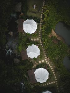 PatjungGlamping tent in Pelaga Eco Park的公园内白色遮阳伞的顶部景色