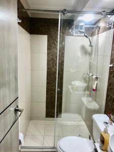 波哥大Apartamento zona central - paloquemao的带淋浴、卫生间和盥洗盆的浴室