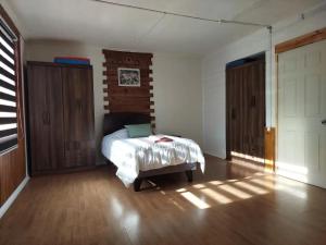 蓬塔阿雷纳斯Alojamiento Punta Arenas的一间卧室配有一张床,铺有木地板