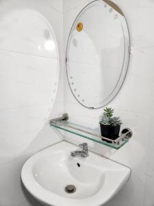 胡志明市D-Dorm Home的浴室水槽,配有镜子和盆栽植物