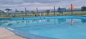ElmenteitaMambo Game View的一座种植了棕榈树的蓝色游泳池