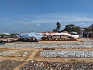 尼甘布Aqua Beach Hostel的一组毯子坐在田野顶部