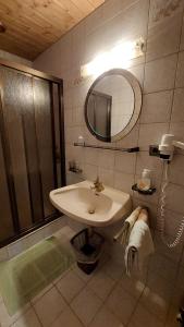 齐勒谷地里德克里斯托夫宾馆的一间带水槽和淋浴的浴室