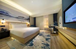 广州广州雅阁澳斯特酒店(白云国际机场人和地铁站店)的配有一张床和一台平面电视的酒店客房