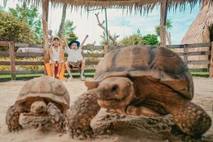 卡伦海滩Thavorn Palm Beach Resort Phuket的两个龟,一个小女孩和一个小孩