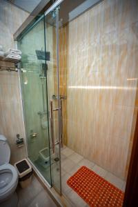 杜尚别VATAN DUSHANBE HOTEL的一间带玻璃淋浴和卫生间的浴室
