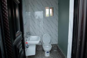 乌约Cogent Apartments Single Rooms的一间带卫生间和水槽的小浴室