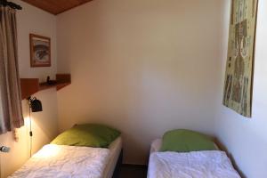 瓦尔德布伦Ferienhaus Robinson Romantikpfad 162的一间卧室配有两张带绿色枕头的床
