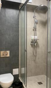 阿拉木图Deluxe Park Z hotel的浴室设有玻璃淋浴间和卫生间