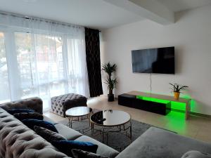 陶努斯山麓霍夫海姆Valley of Business Frankfurt-West - Penthouse Nº1 - Three-Bedroom的带沙发和平面电视的客厅