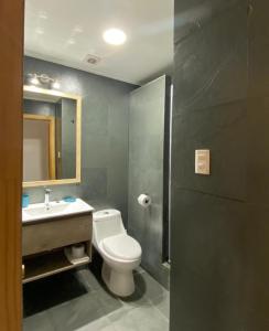 纳塔列斯港Natagonia Apartments的一间带卫生间、水槽和镜子的浴室
