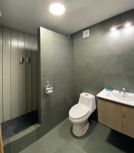 纳塔列斯港Natagonia Apartments的一间带卫生间和水槽的浴室
