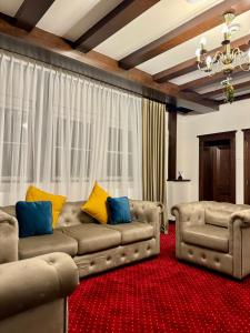 锡纳亚Vila Șipot - Casa Arhitecților的带沙发和红地毯的客厅