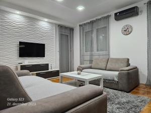 皮罗特Apartman Vukota Pirot的带沙发和电视的客厅