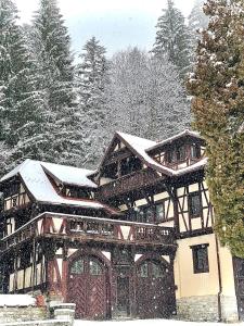 锡纳亚Vila Șipot - Casa Arhitecților的一座大木屋,上面有雪