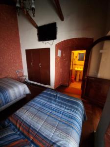 波托西Hostal Imperial Carlos V的一间卧室配有两张床和一台平面电视