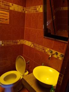 波托西Hostal Imperial Carlos V的浴室设有黄色卫生间和水槽。