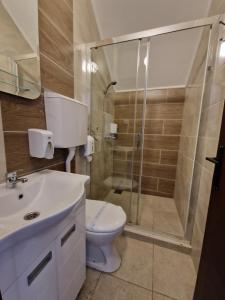 苏博蒂察sobe Astonia的一间带卫生间和玻璃淋浴间的浴室