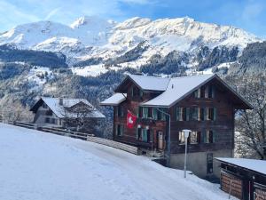 翁根Traditional chalet in Wengen - Top Floor的雪中带金刚石旗的房子