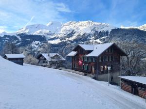 翁根Traditional chalet in Wengen - Top Floor的山底下雪中的房子