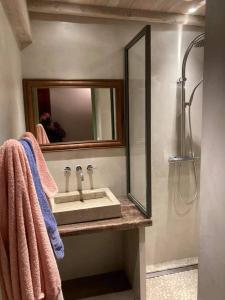 RottierFONT DE RAINE的一间带水槽和镜子的浴室