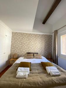 普罗旺斯艾克斯Deux chambres avec terrasse dans le centre ville d'Aix en Provence的一间卧室配有一张大床和两个枕头