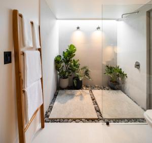 福尔图纳BAUMA的一间种植了盆栽植物和淋浴的浴室