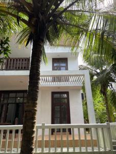 坦加拉Dinuri villa的前面有棕榈树的白色房子