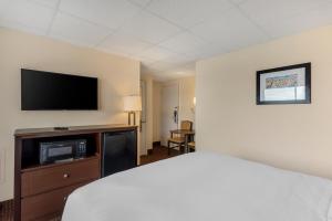 大洋城Quality Inn Ocean City Beachfront的配有一张床和一台平面电视的酒店客房
