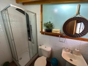 FreireHostal Senderos del Sur的带淋浴、卫生间和盥洗盆的浴室