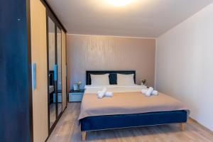 布拉索夫Vila Crișan的一间卧室配有一张大床和两个枕头