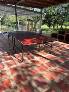 阿瓜德迪奥斯Finca Nirvana.的天井顶部的乒乓球桌