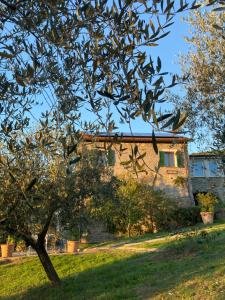 Calice al CornoviglioI due Ghiri的前面有一棵树的房子
