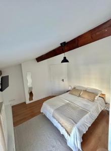 布隆Spacieux & Charmant 2 chambres - Lyon Bron Eurexpo的一间卧室,卧室内配有一张大床